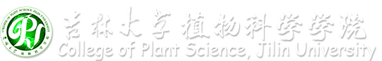 红宝石9999hbs（en）